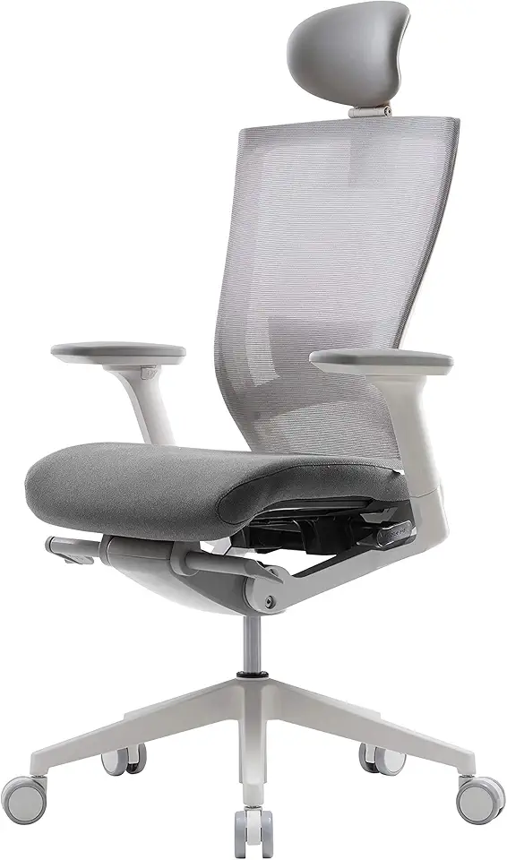 SIDIZ T50 Ergonomic Home Office Chair : High Performance,...