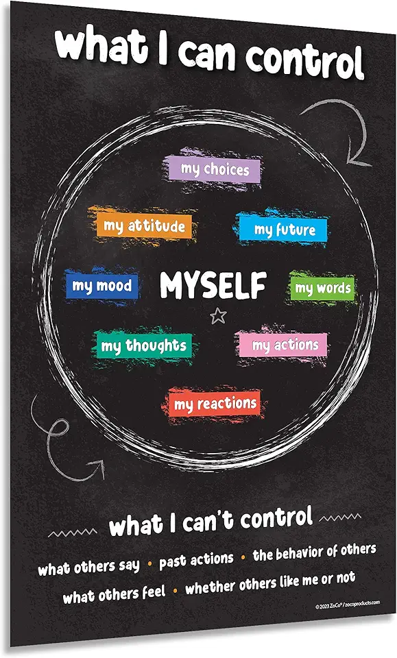 ZOCO – Things I Can Control Poster – Mental Health &...