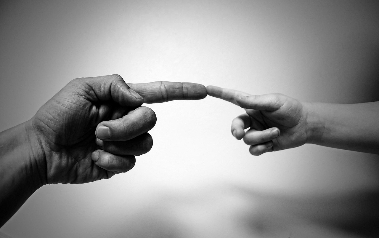 Mindful wisdom and compassion guiding global empathy.