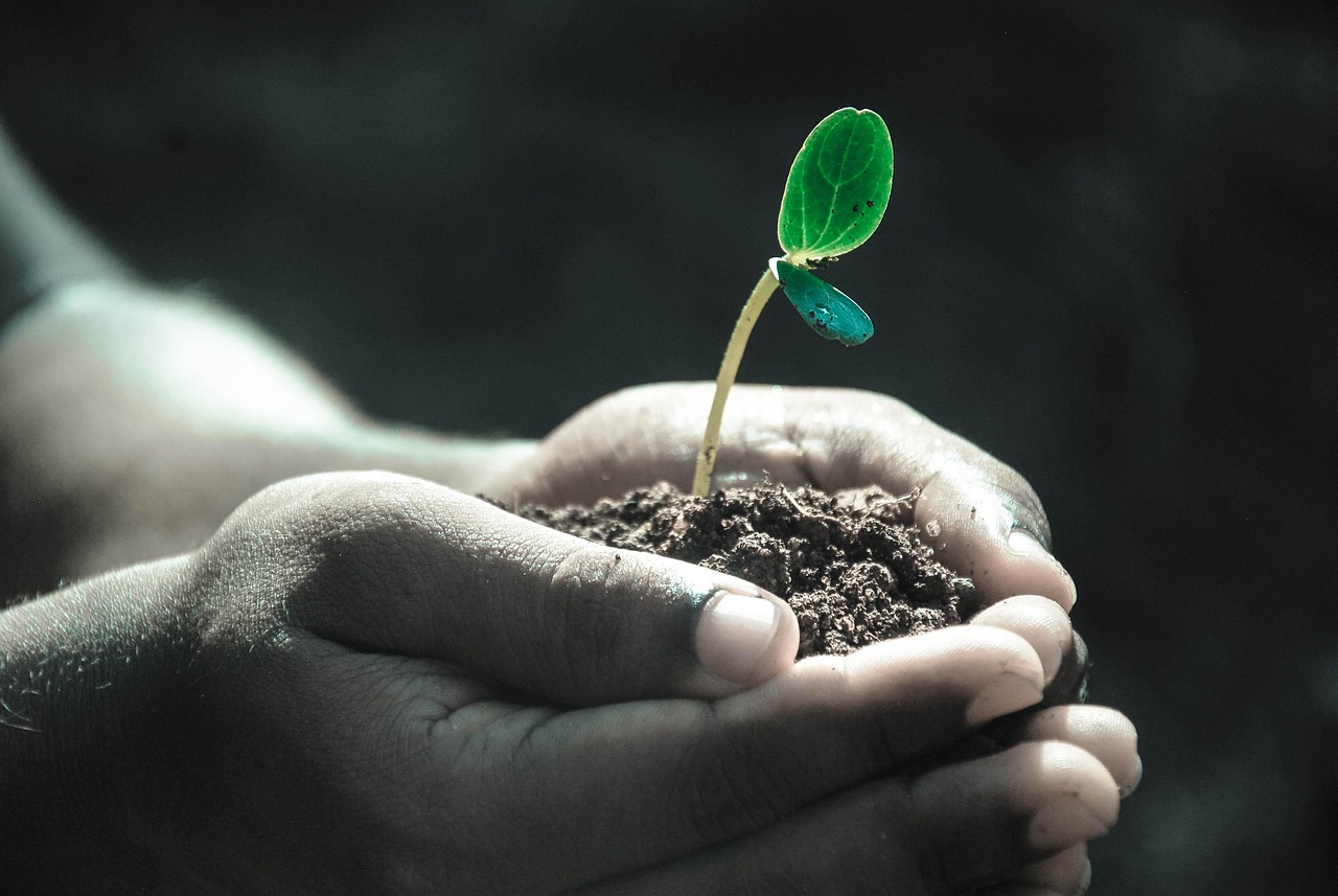 those nearing the end, offering lessons for a meaningful life.