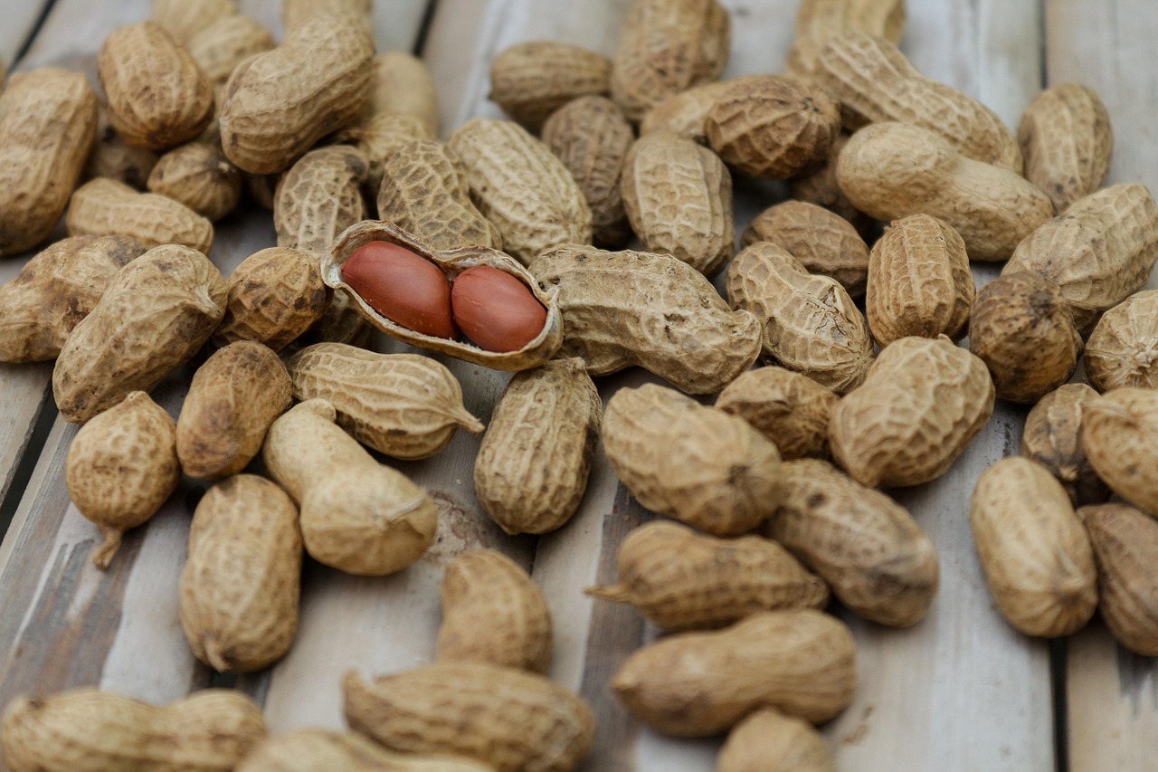 Balanced nutrition fuels muscle health after 40 years old.