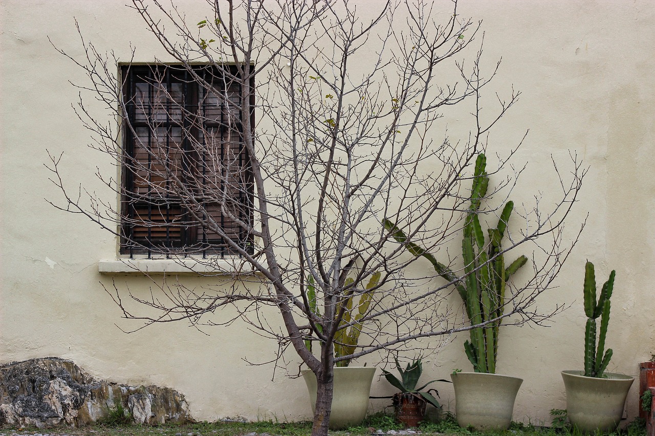 Minimalism as a lifelong continuous journey concept