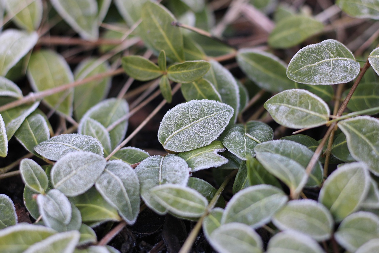 Reframing Resistance as Opportunity for Growth and Exploration